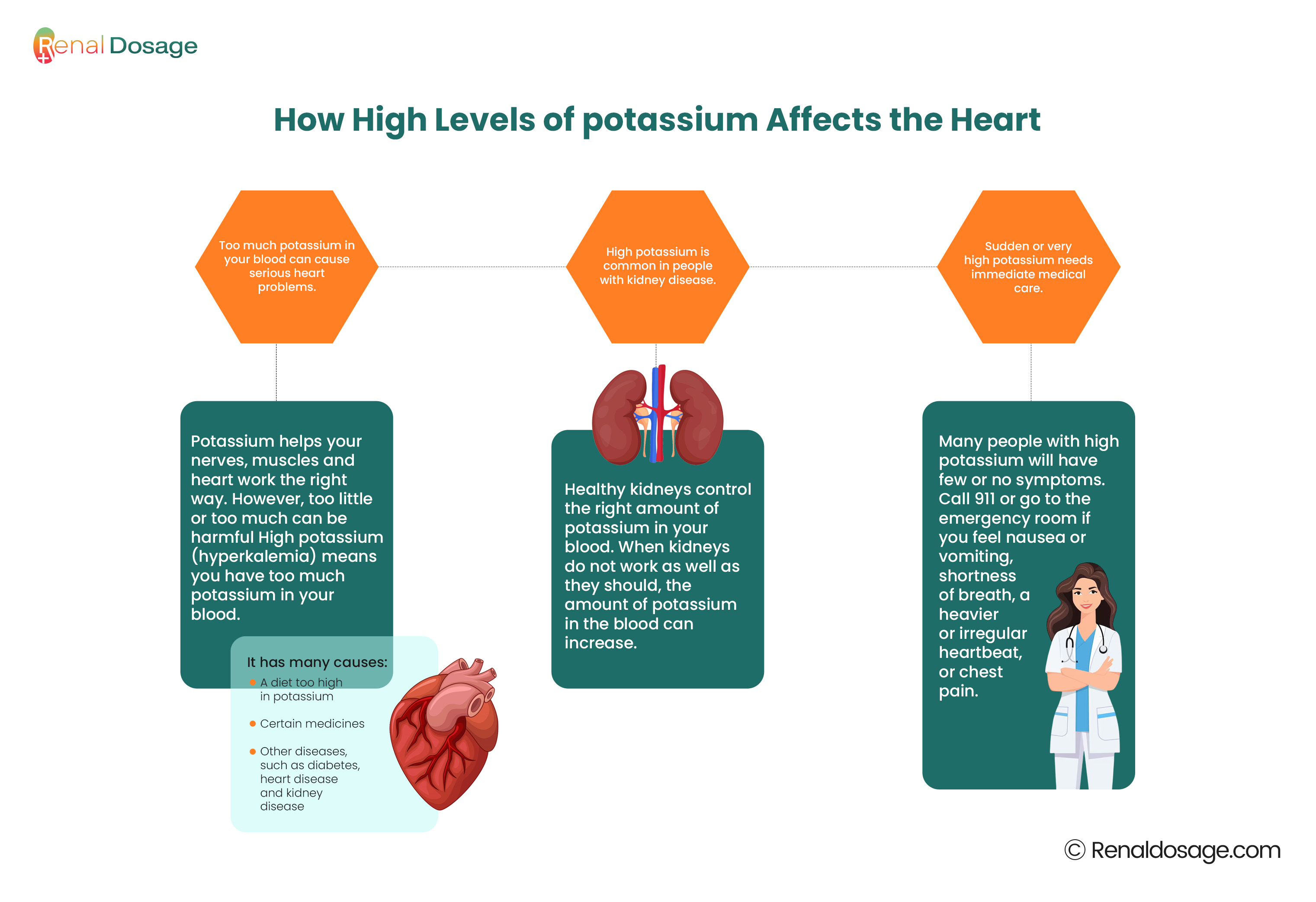 How High Levels of potassium Affects the Heart